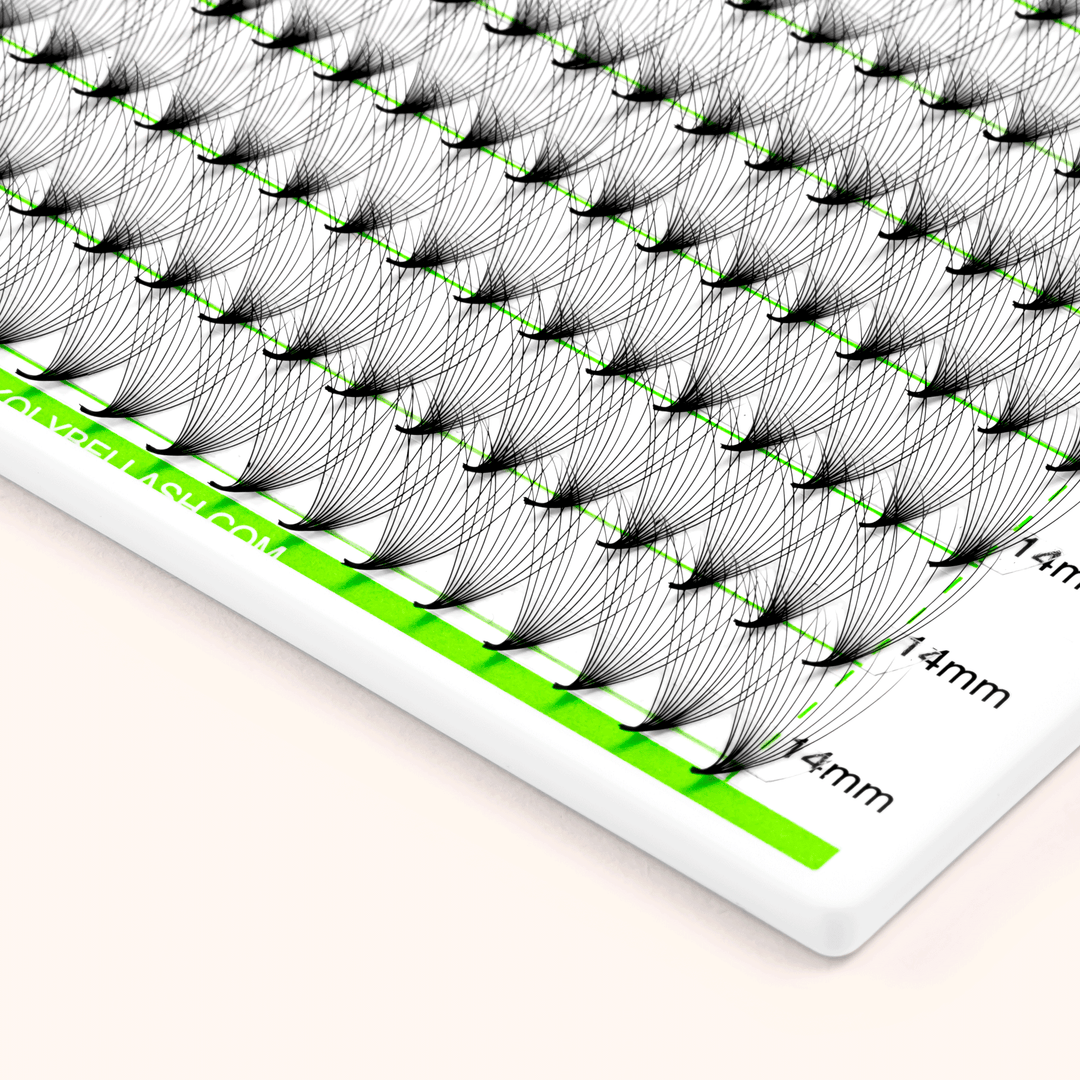 KOYBEL 12D Promade Pointy Base Volume Lash Fans(500 Fans)
