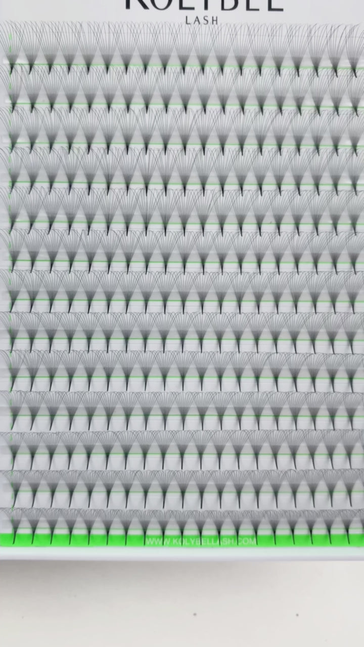 10D Promade Pointy Base Volume Lash Fans(500 Fans)