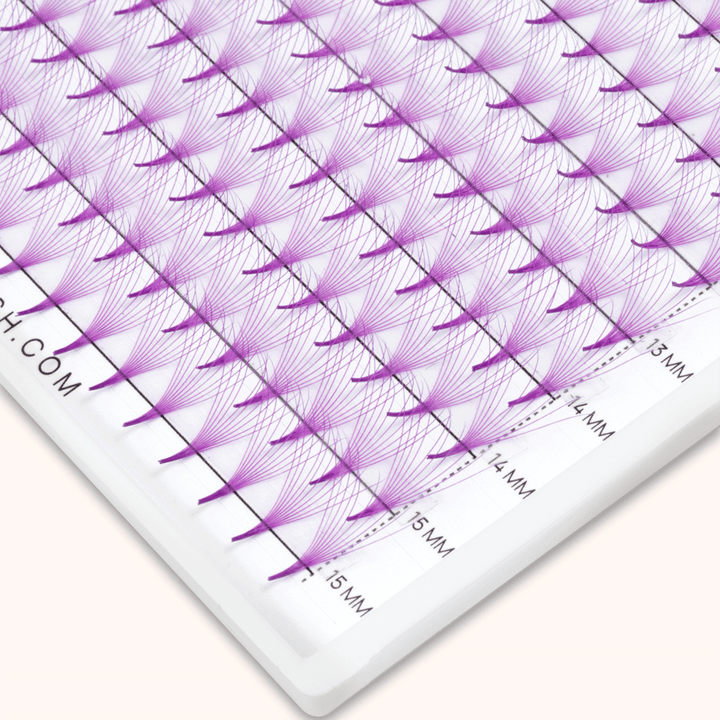 10D Purple Premade Volume Fans Pointy Base16 Rows(320 Fans)