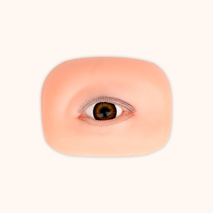 Reusable silicone eye model for lash extension practice. Features 3 layers of lashes, sold as a pair, ideal for training and showing finished lash styles.