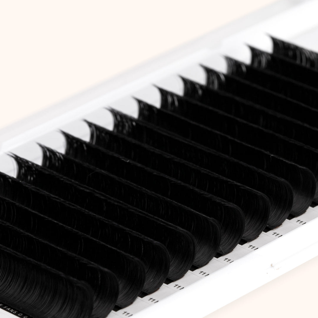 KOLYBEL LASH Easy Fan Mega Volume Lashes 0.03mm (16 Rows)