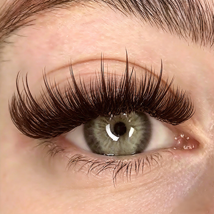 KOLYBEL LASH Brown Premium Lashes Colored Volume Eyelash Extensions