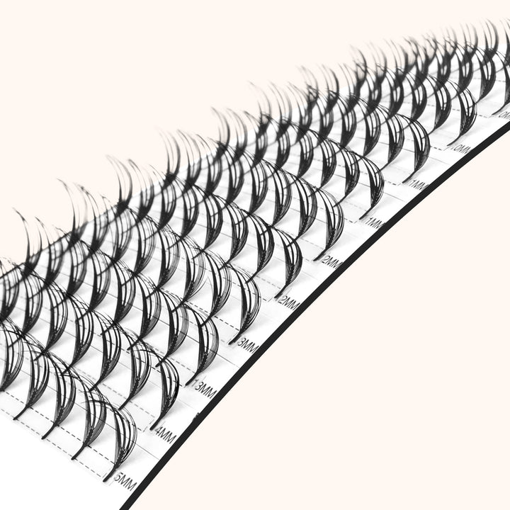 KOLYBEL Butterfly Wispy Anime Lashes Extensions 0.07mm（12Rows）