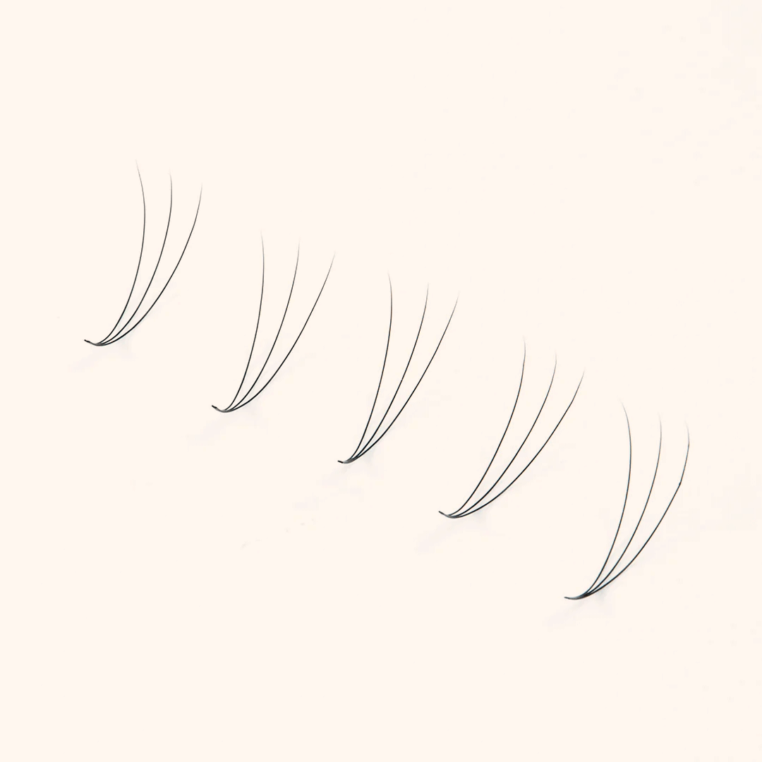 3D Long Stem Premade Volume Fans