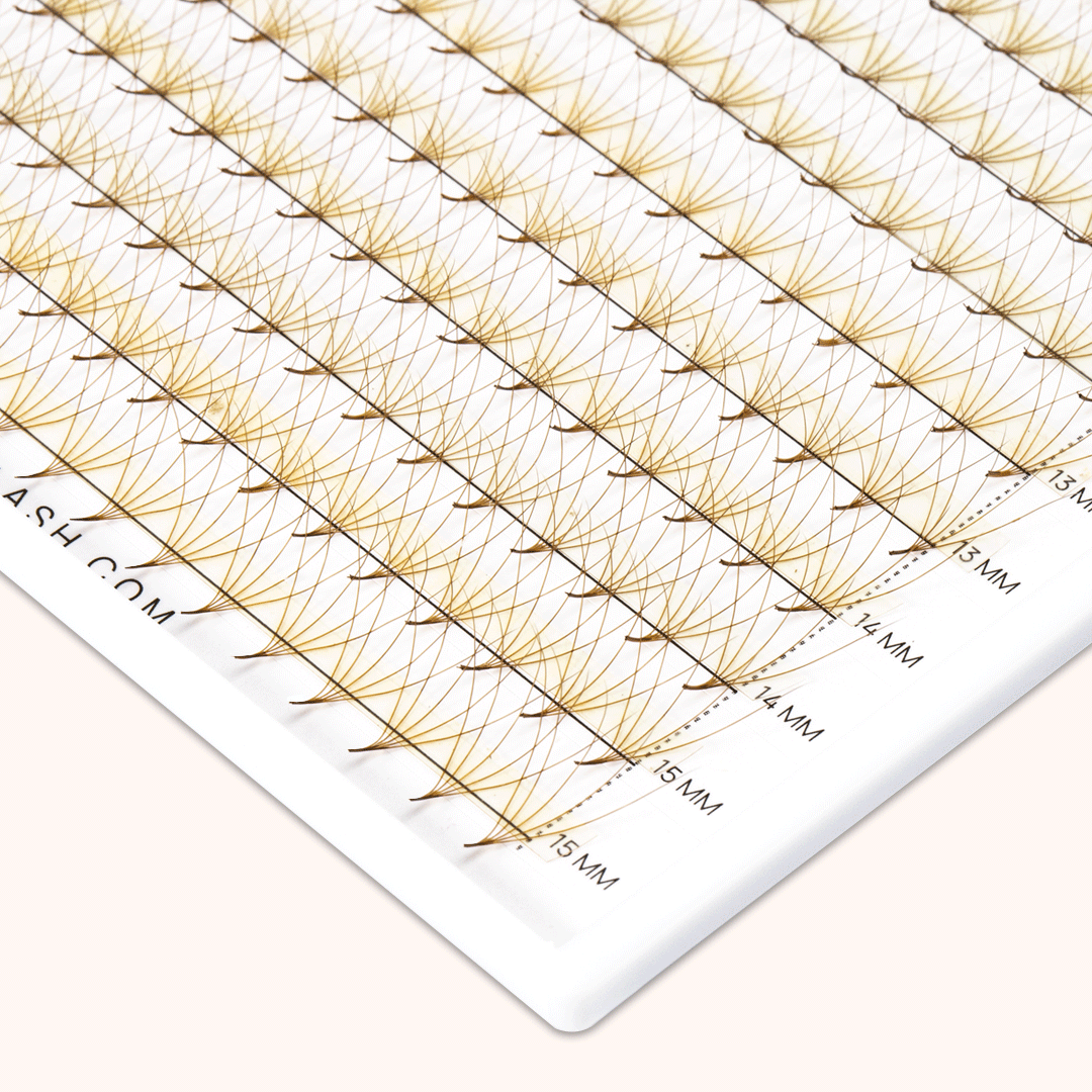 5D Brown Premade Volume Fans Pointy Base16 Rows(320 Fans)