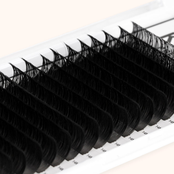KOLYBEL LAHS Premium Lash Extensions 0.03mm(16Rows)
